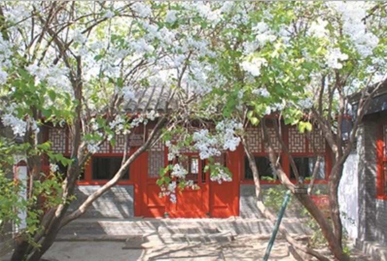 全网人设崩塌的八大网红,这些年人设崩塌的网红