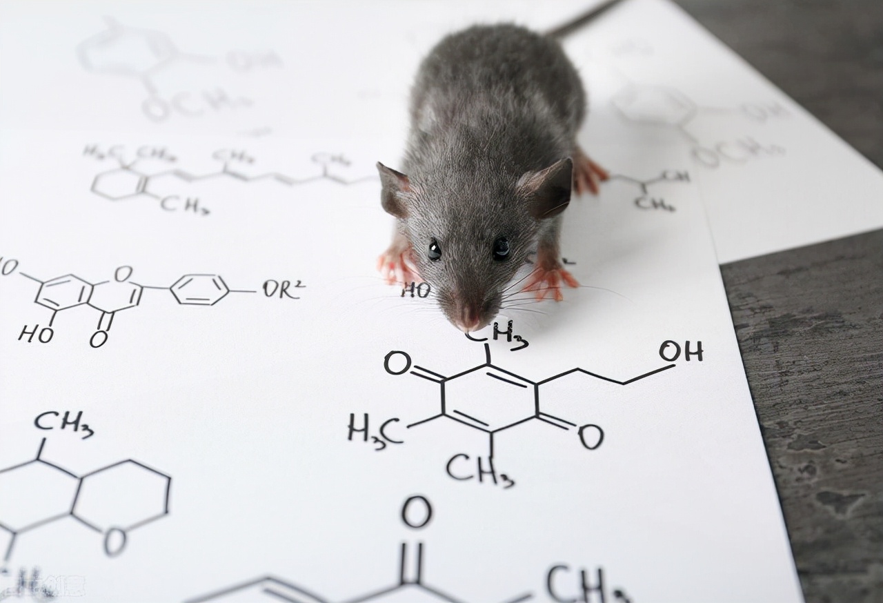 300多分理科女生学什么专业好,理工女生最吃香的十大专业赚钱多