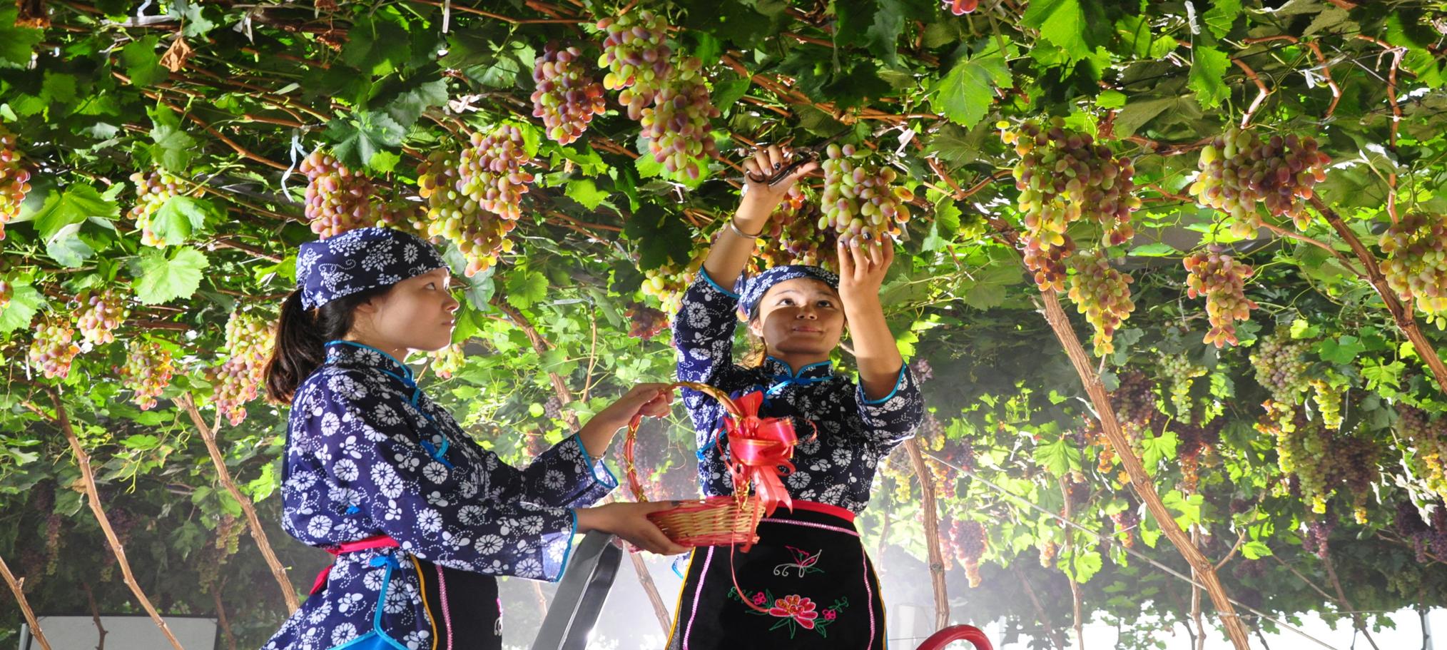 临渭区景点大全一日游,临渭区最美的景点在哪里