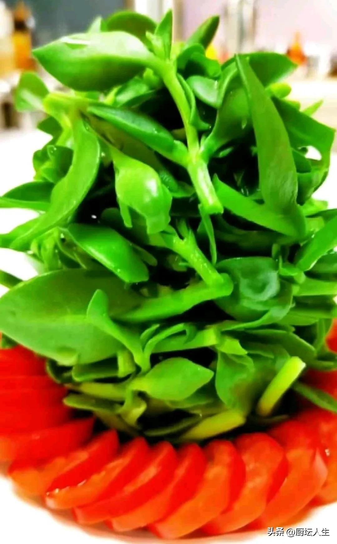 适合长期吃的养生菜,适合年轻人的营养健康食谱