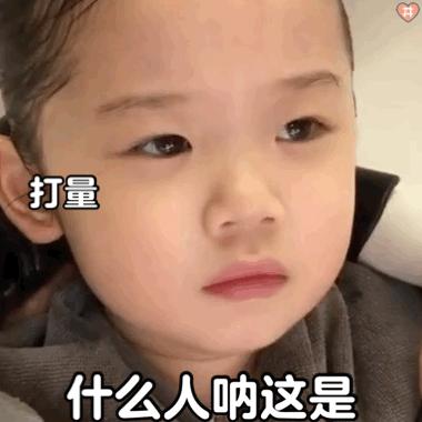 金雪的圣诞节表情包,金雪表情包不想说话