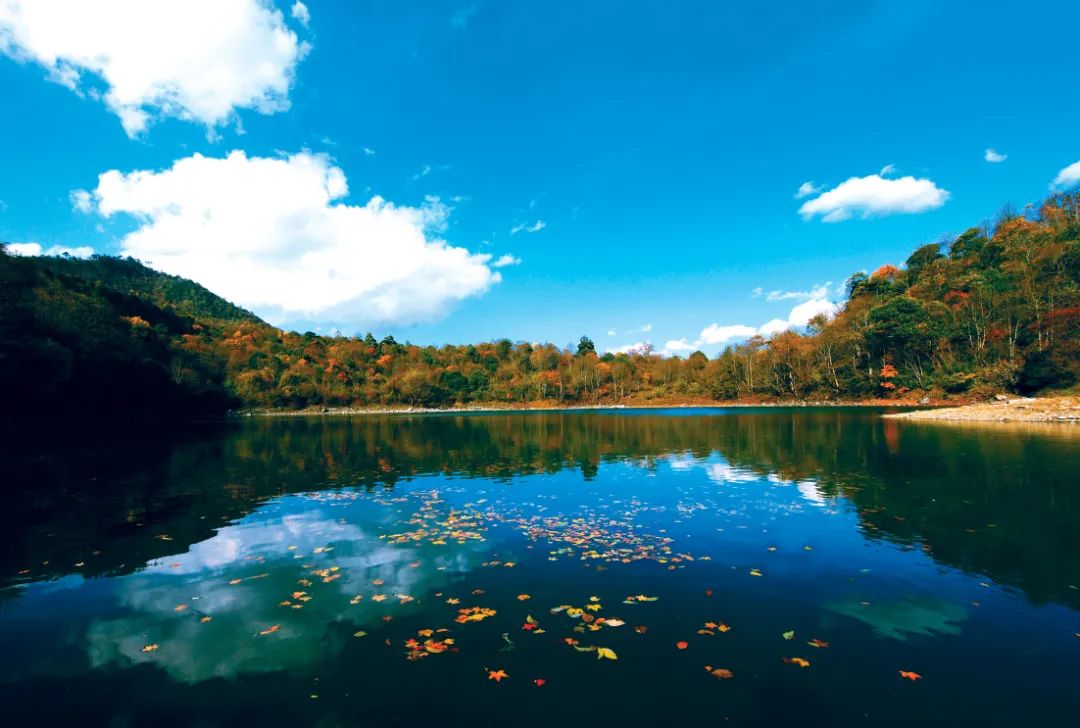 非遗奇遇记端午赛龙舟,端午节赛龙舟比较有特色文艺活动