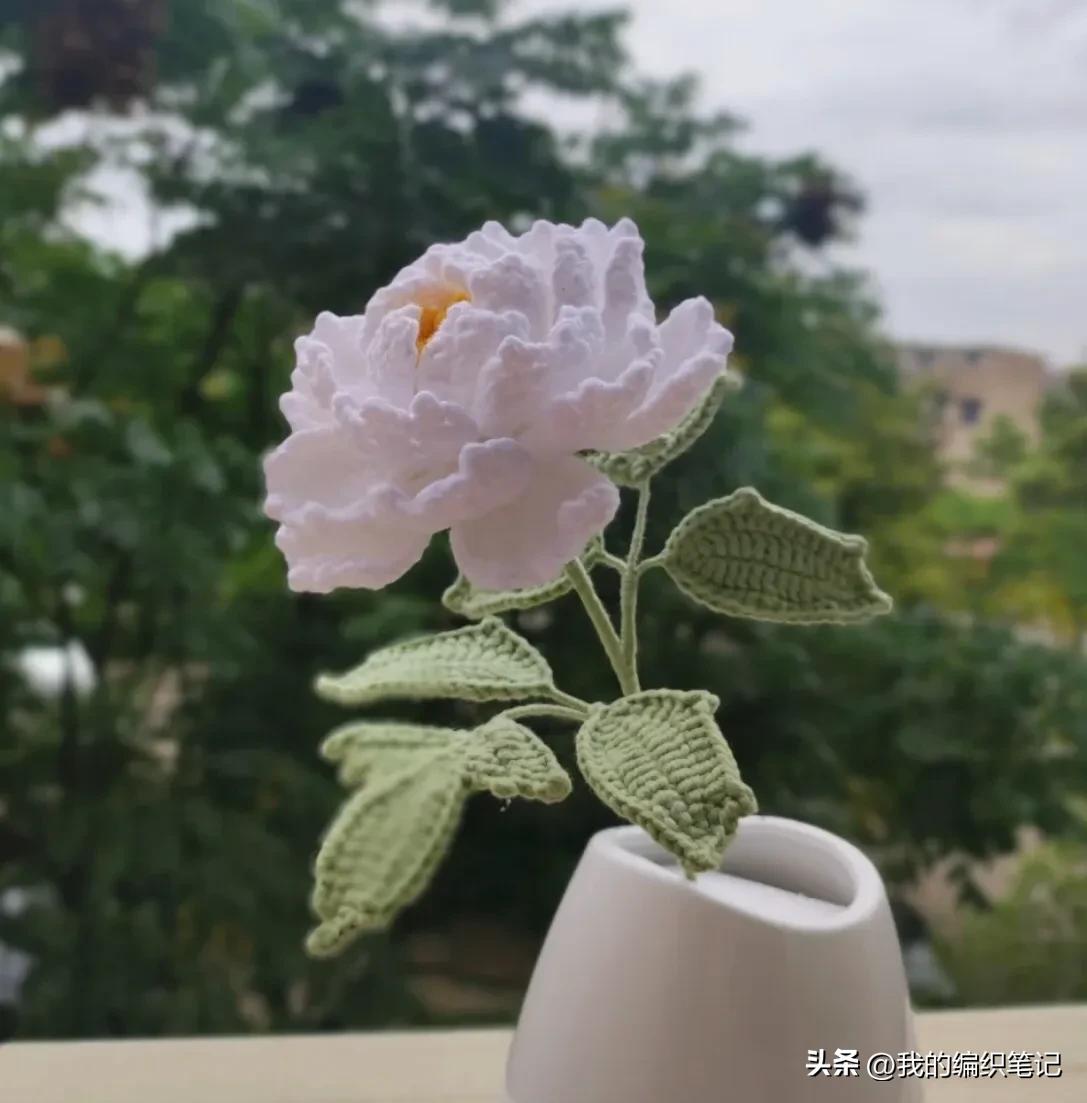 毛线牡丹花编织教程完整版,毛线牡丹花编织教程图解