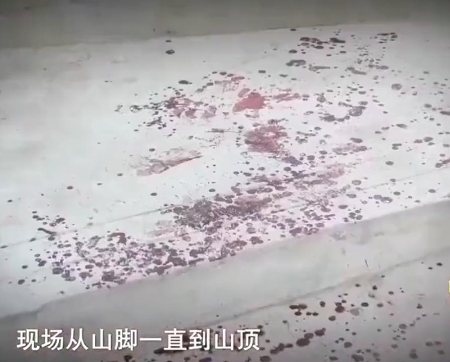 女子为了和前男友复合杀现任,女人承认和情敌联手杀害老公