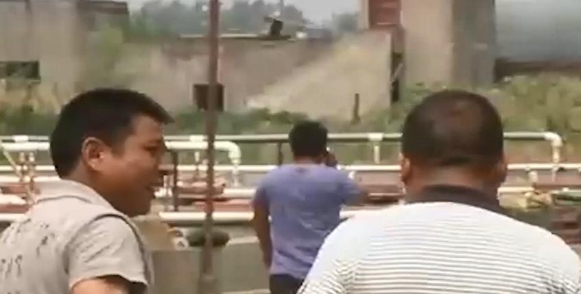 男子花20万买受伤鲶鱼,男子花20万买了一条受伤的鱼