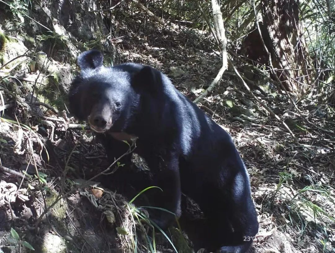 昆明七彩云南怎么样,七彩云南避暑家园