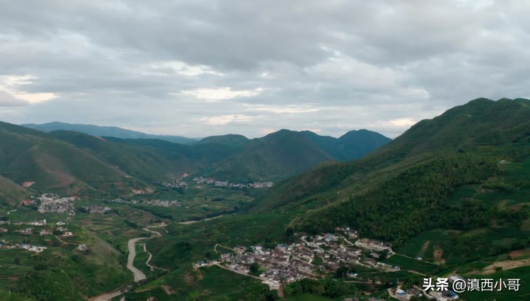 美丽的红宝石石榴,一席一果