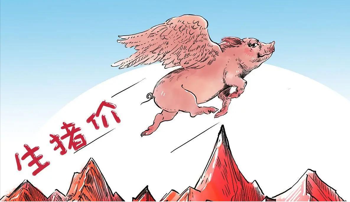 京基恶意并购康达尔在哪一年,京基集团康达尔