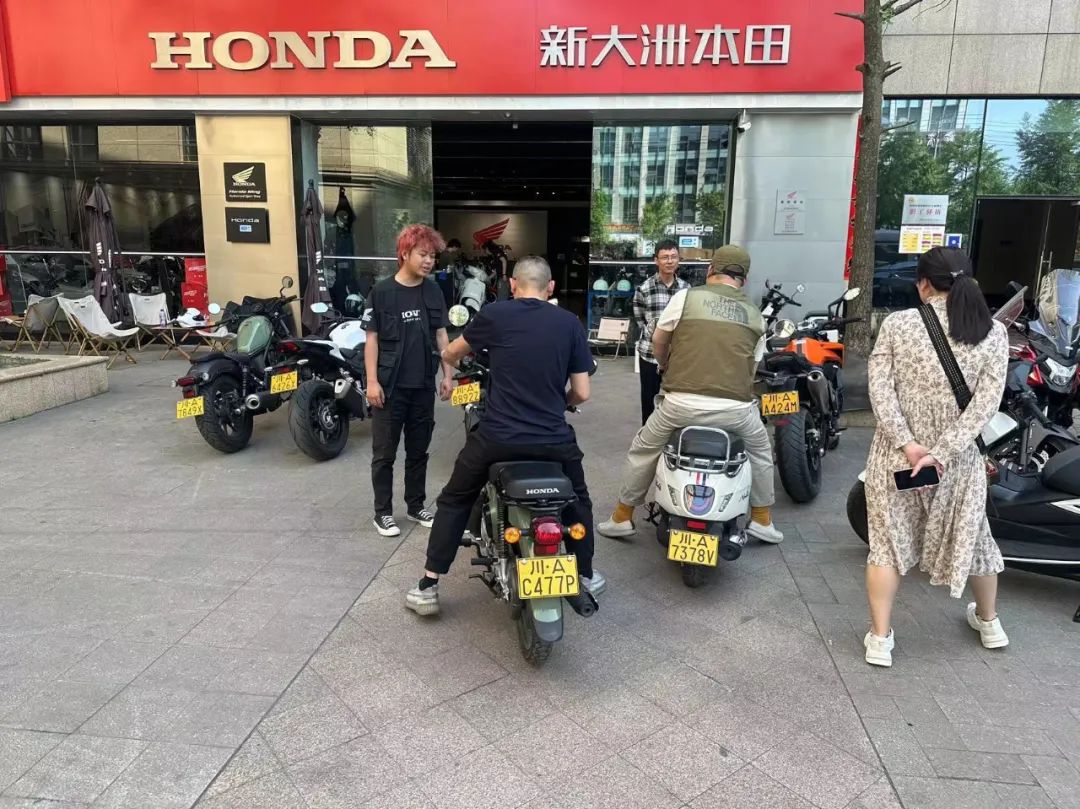 本田幼兽cc110盲盒,本田幼兽110cc