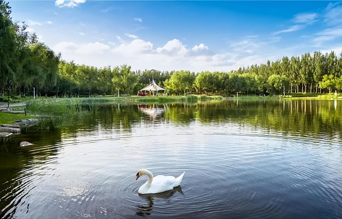 全国最容易迷路的985大学，大到里面有座城市