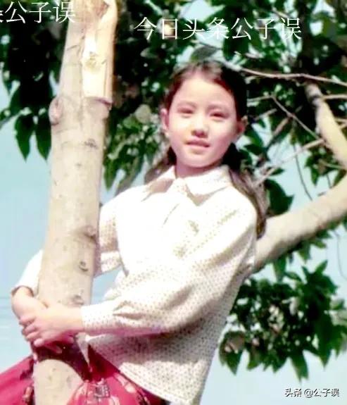 周海媚和吕良伟的爱情故事,周海媚和吕良伟婚姻维持多久