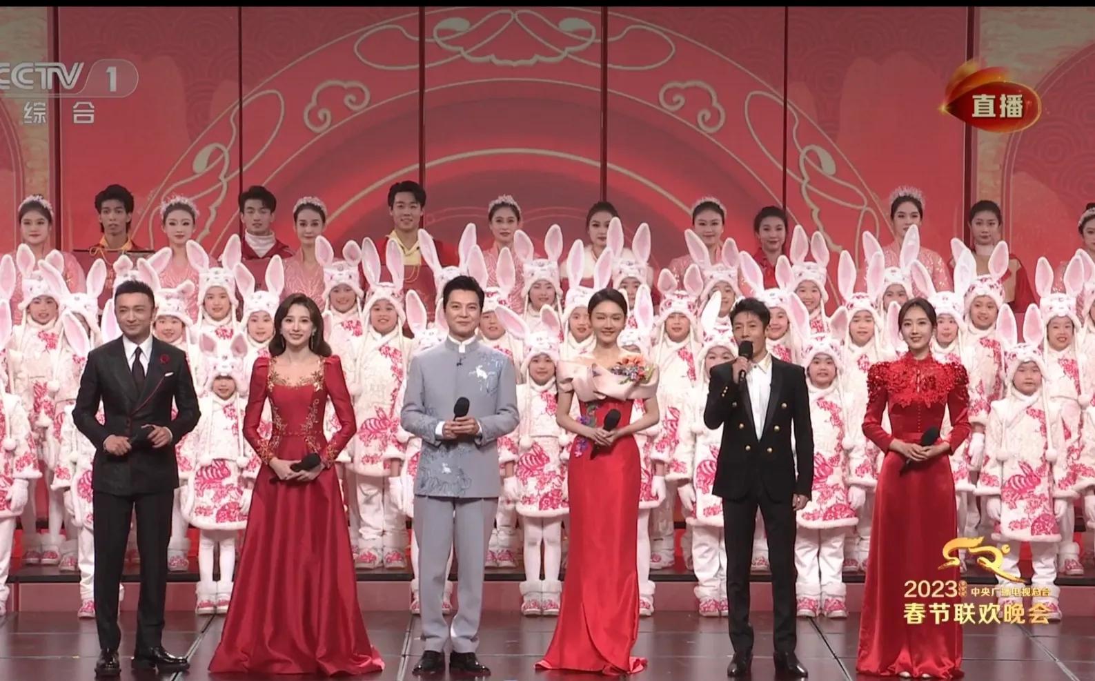 春晚主持人王嘉宁简历资料,春晚新面孔主持人王嘉宁