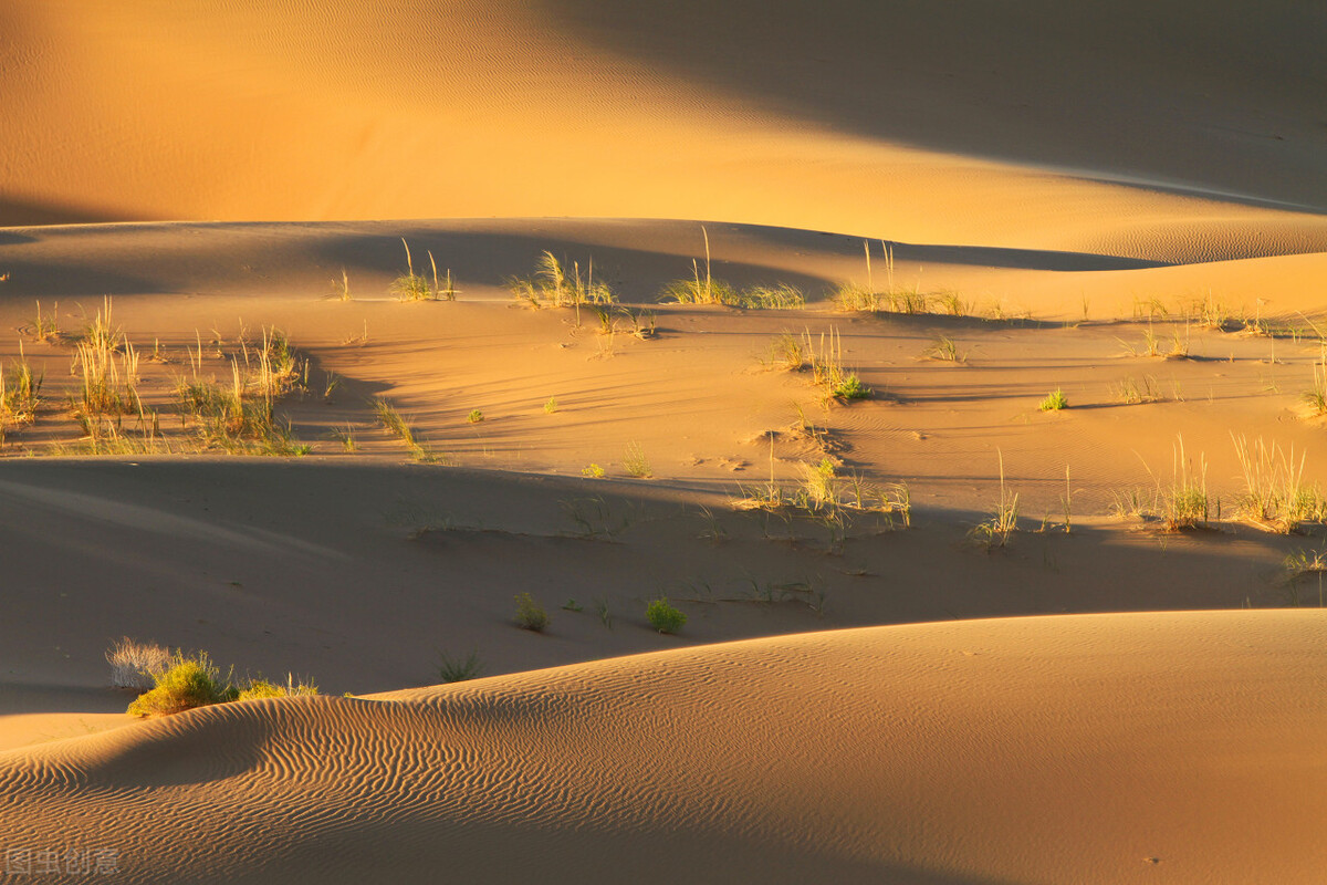 野外森林迷路怎么办,森林迷路如何自救