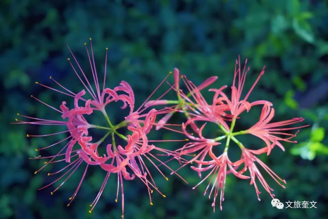 周末徒步免费景点攻略,此生必打卡的山跟徒步路线