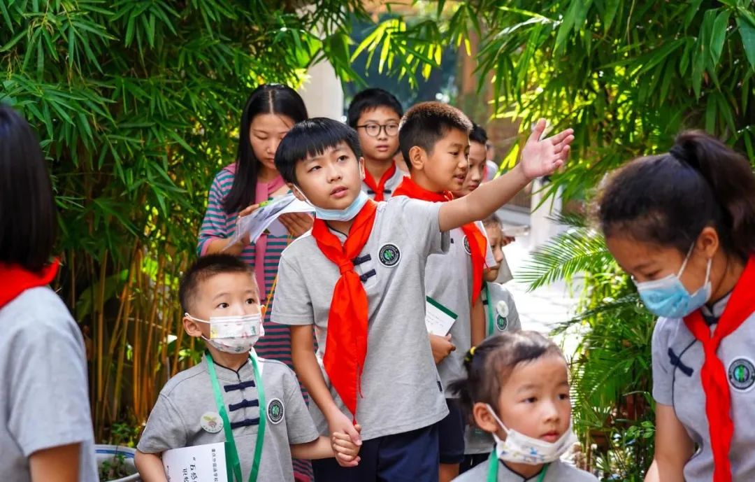 重庆外国语学校森林小学六一,重庆外国语学校森林小学入学要求