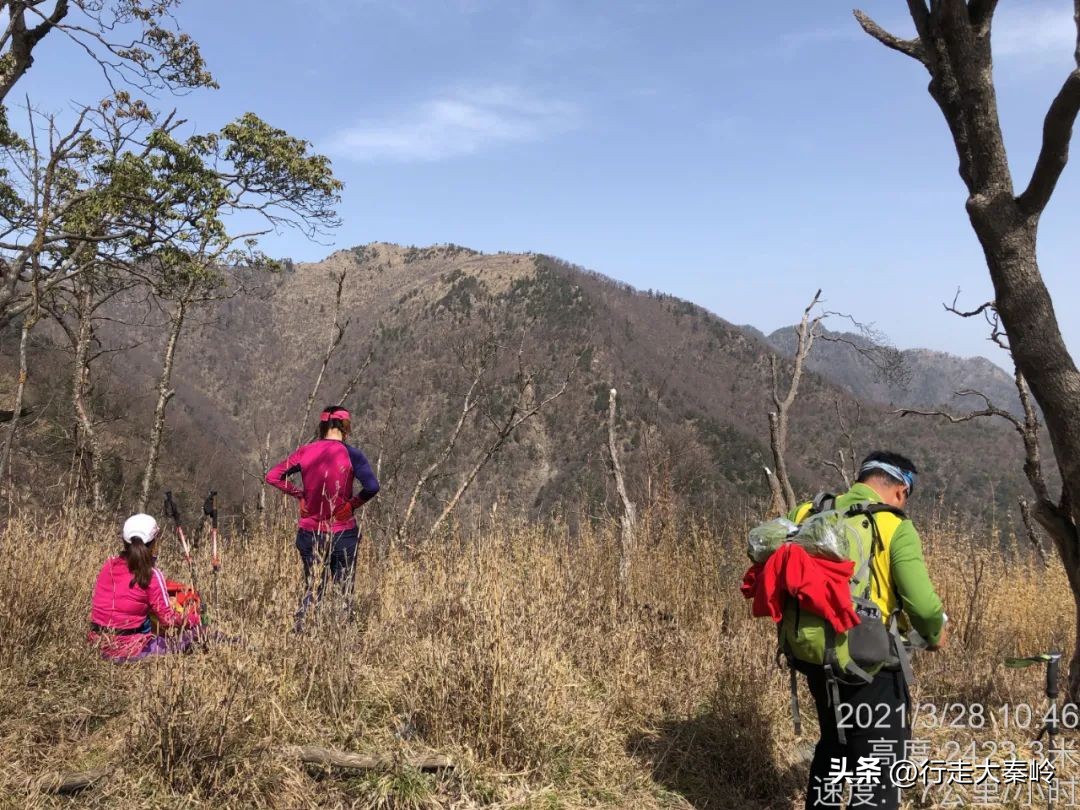 首阳山穿越大坪梁景色怎么样,大坪梁穿越到首阳山攻略