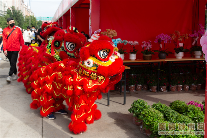 逛花街视频,逛花街的视频