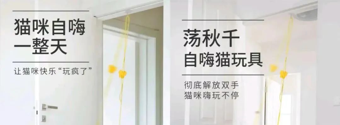 速度扩散，9.9元网红玩具竟成了猫咪的索命凶器？千万别买！