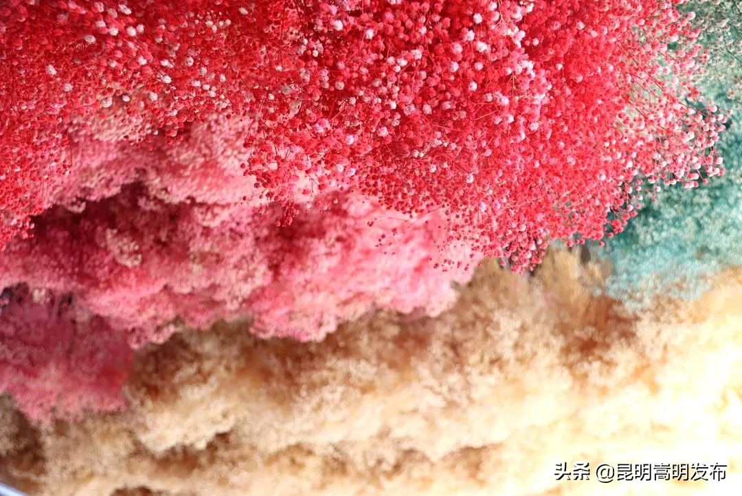 嵩明永生花店 (嵩明永生花)