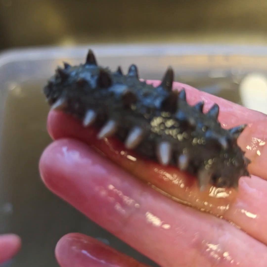 天津张姐海参,张姐海参