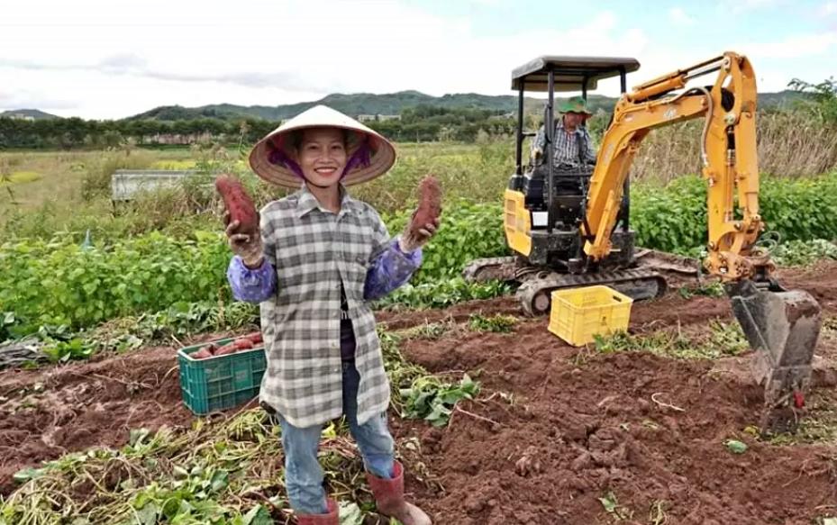 越南女离异后再婚,越南女离婚多次再嫁