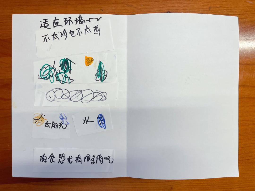 孩子经常提问我该怎么办,孩子问什么都不说怎么沟通