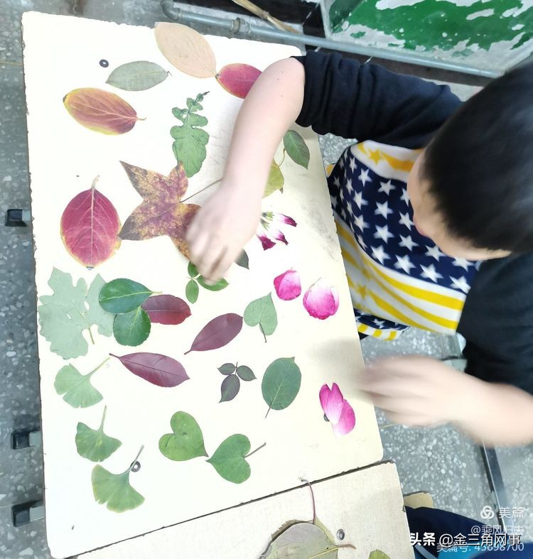 临猗庙上初中推进并践行植物标本课程