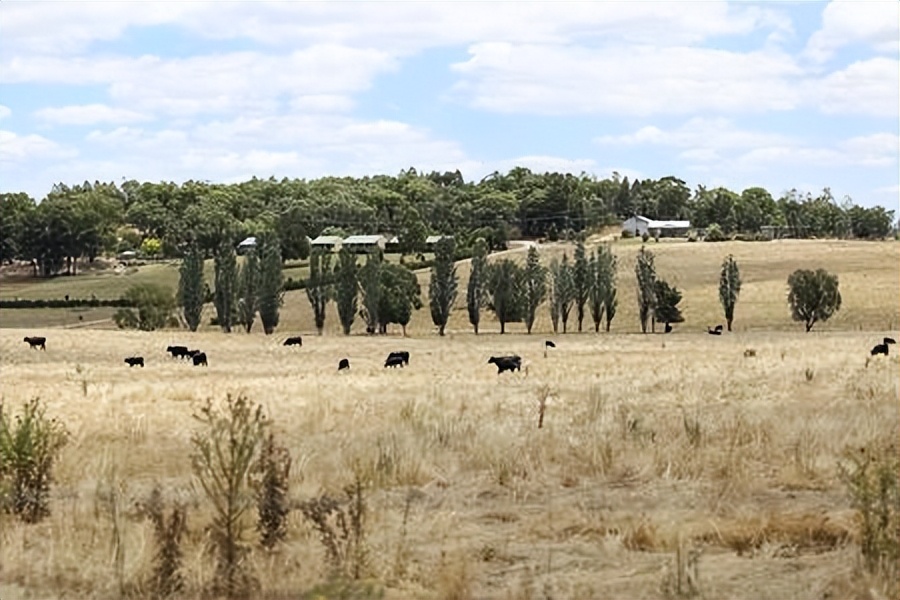 安道尔经济怎么样,安道尔历史的演变