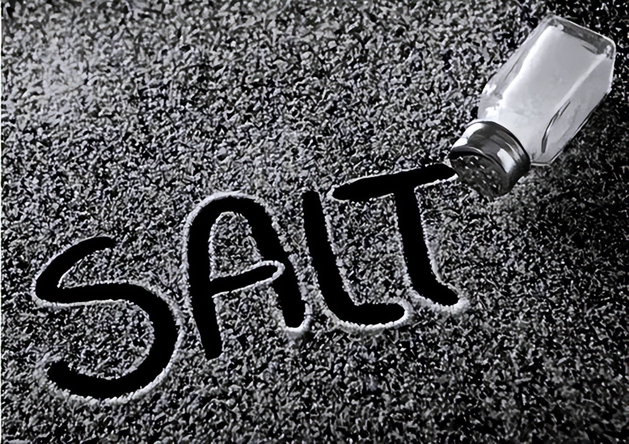 出国旅行注意这些奇葩国的奇葩规定，切勿大意，免得引火烧身！