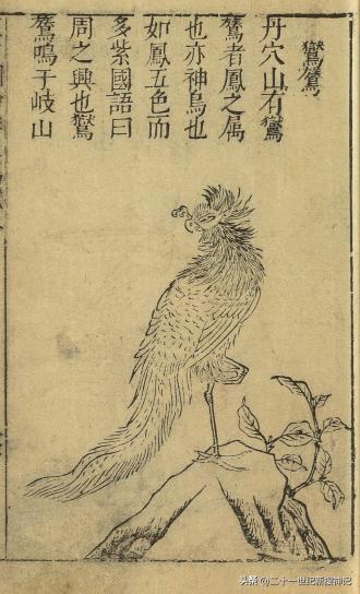 天干十神兽的故事（三）有凤来仪，变化万千，从神话飞入现实