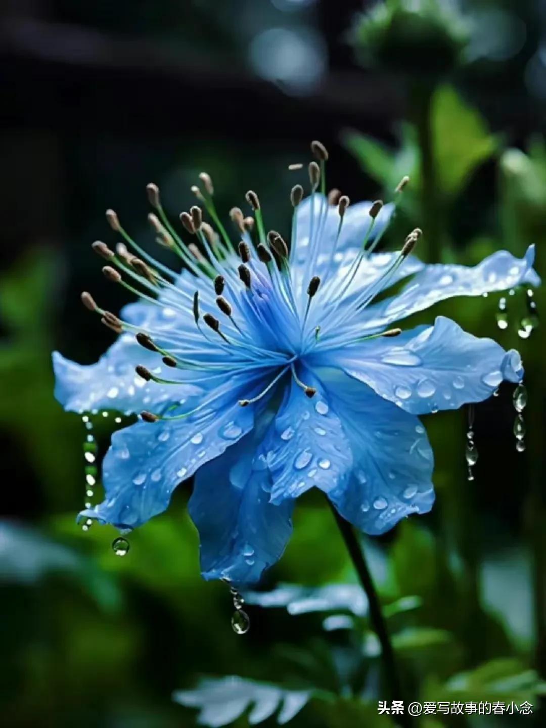 女人不要随便和老公生气,经常和老公吵架的女人最后的结果