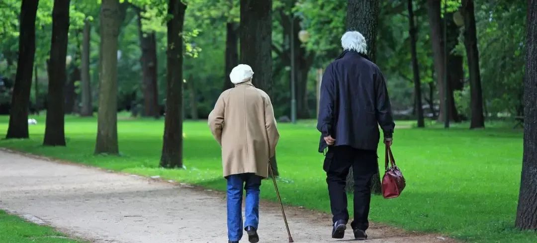 对话经济学者：“延迟退休”关系到每一位劳动者，不能指望一项政策解决所有问题