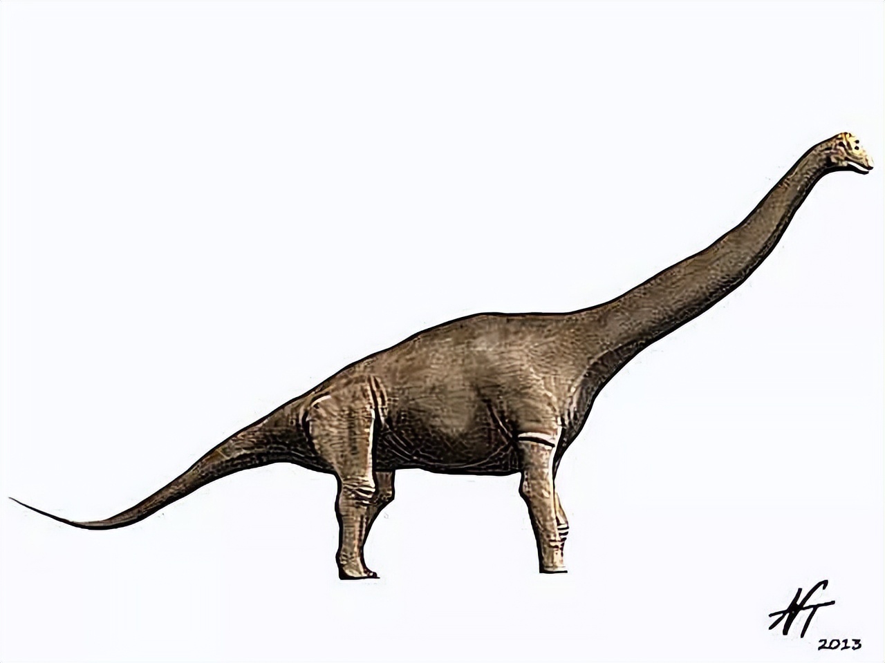 恐龙时代泰坦巨龙与雷龙,泰坦巨龙恐龙化石