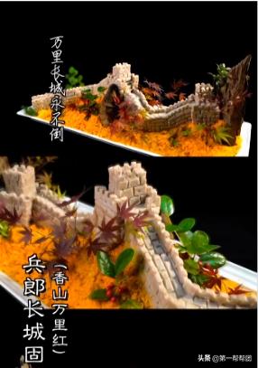 一鸭九吃完整视频,一鸭九吃的视频