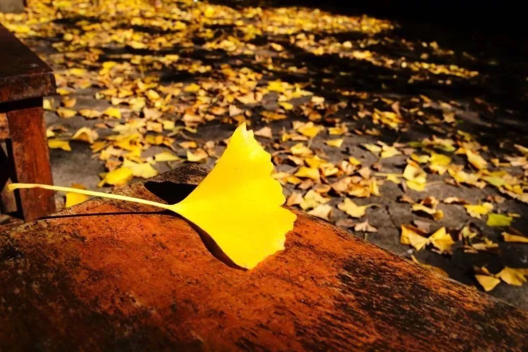 聪明但是用错了地方,别把聪明太当回事