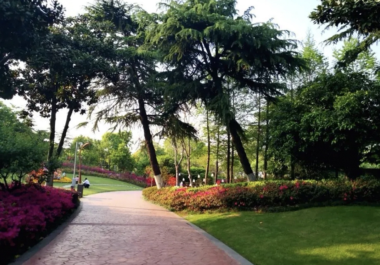 凤凰公园景色美,常州凤凰公园美篇