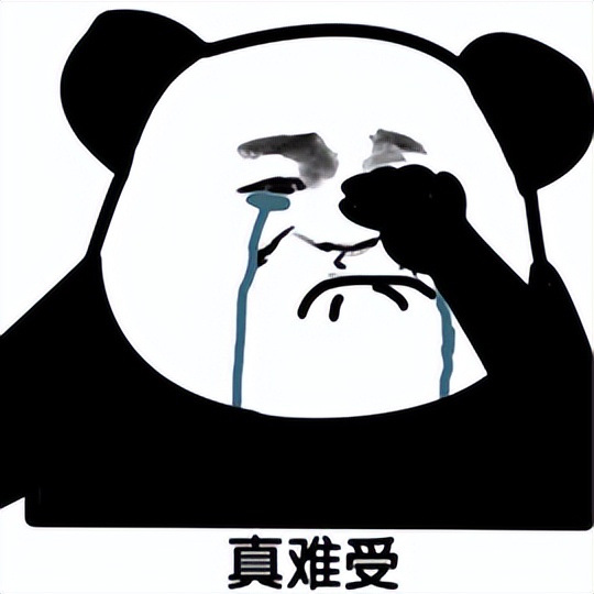 HR：有什么项目经验？大学生：我追过星…