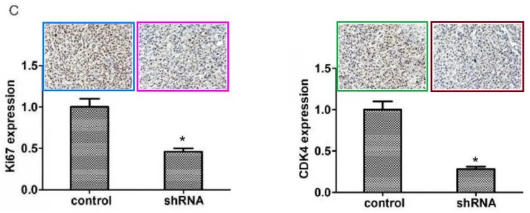 天津医科大学第二医院的9分论文遭评议！疑似与同期论文多图重叠