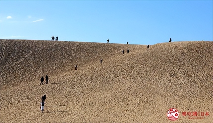 鸟取岛根景点推荐,鸟取沙丘风景区