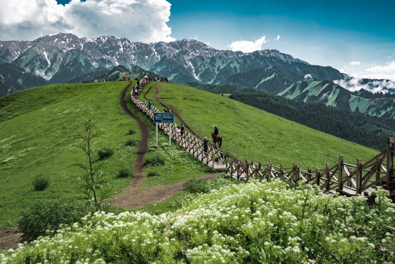 新疆伊犁之美,走了一圈才发现世界万物远不及你