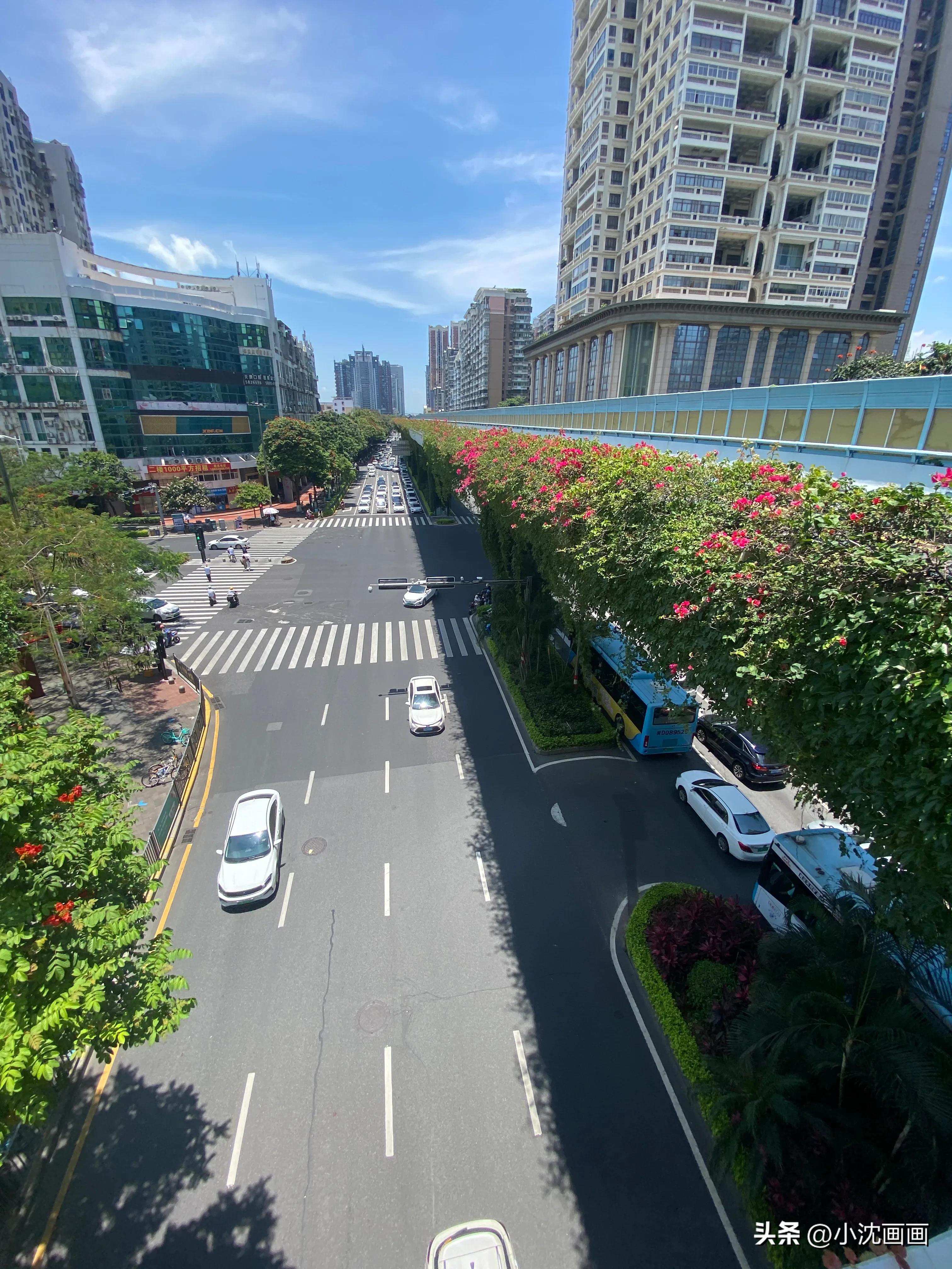 厦门鼓浪屿旅游攻略自由行攻略,厦门旅游攻略五天游最佳路线