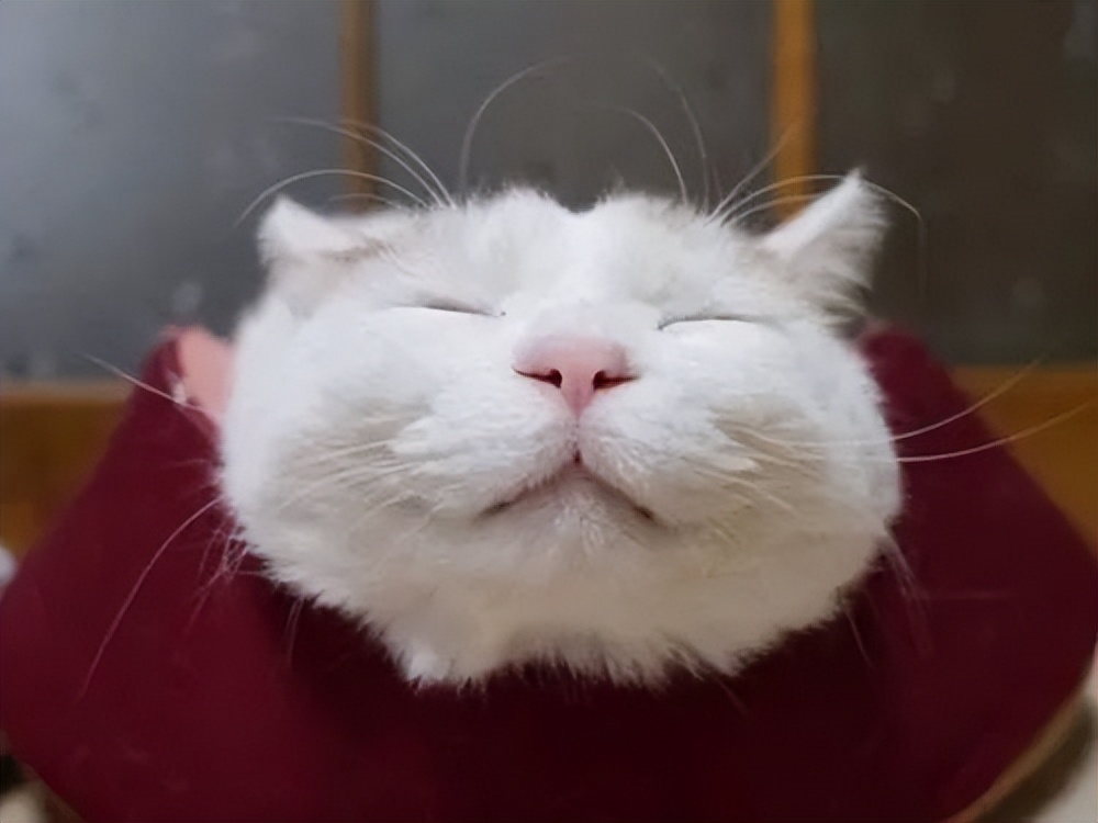 美本商科专业申请条件,美本申请定专业或不定专业