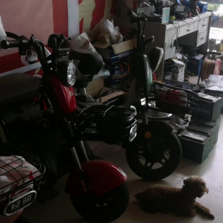 能正常使用的电动车冲电器,电动车充电器型号相同可以混用吗