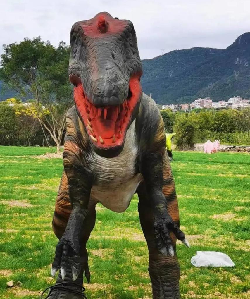 厦门的春节怎么过,厦门过春节怎么过