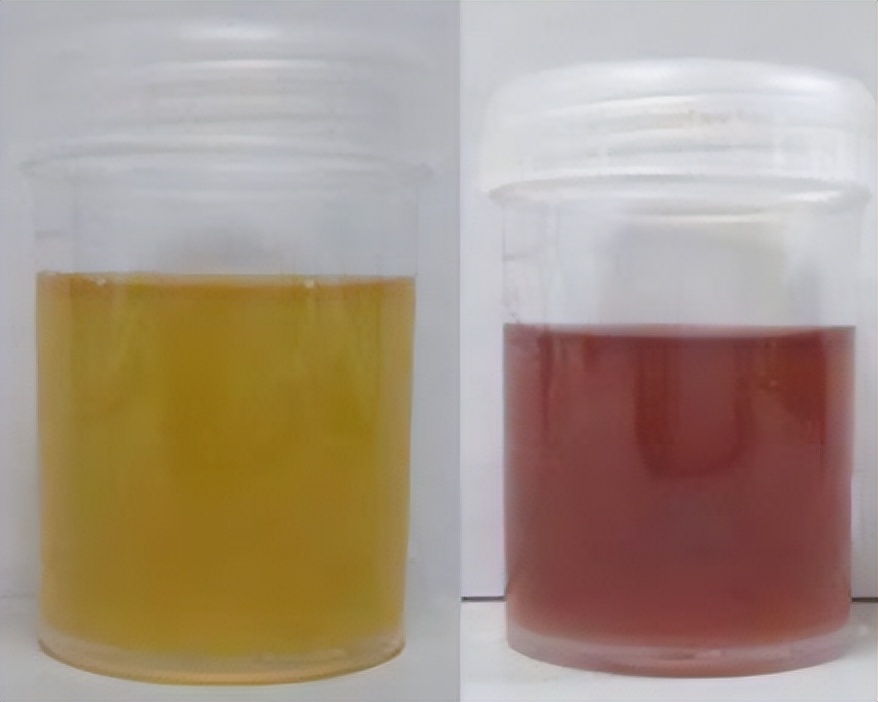 狗狗泪痕的原因,狗狗上火泪痕重什么原因