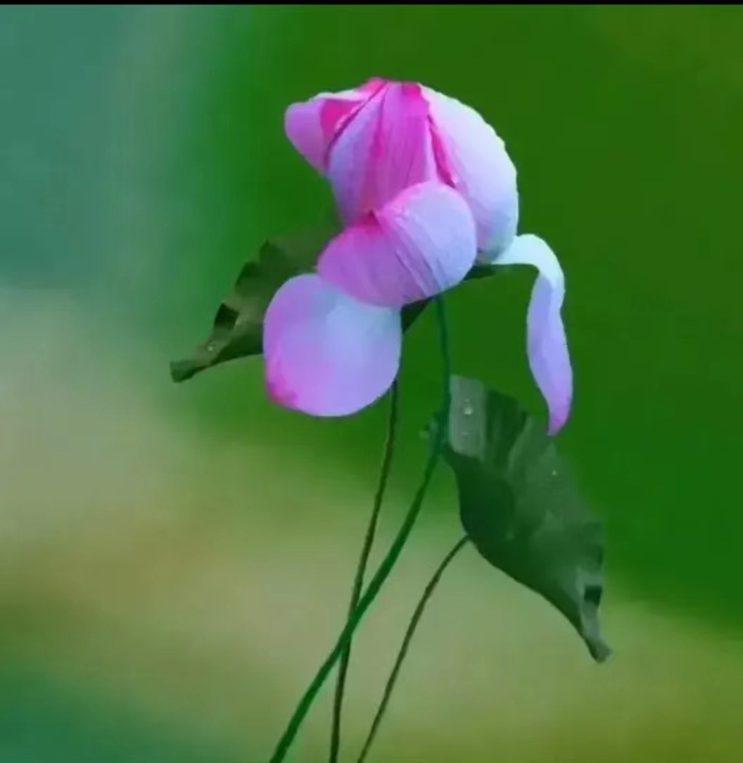 鹧鸪天词400首,鹧鸪天进阶