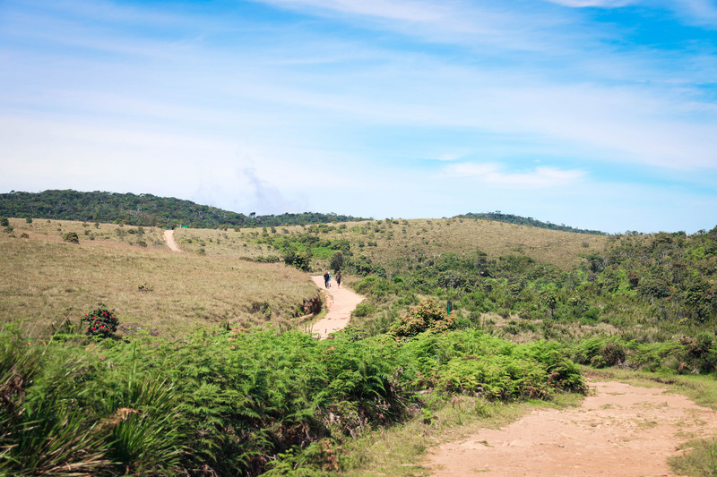 斯里兰卡旅游攻略必去景点,斯里兰卡最佳旅游攻略
