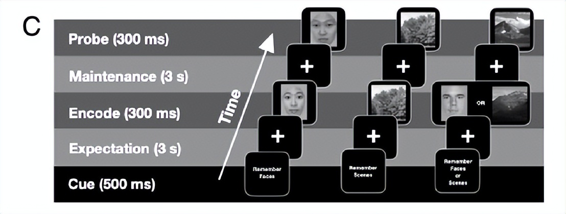 防止老年痴呆益智游戏推荐免费,防痴呆的手指游戏
