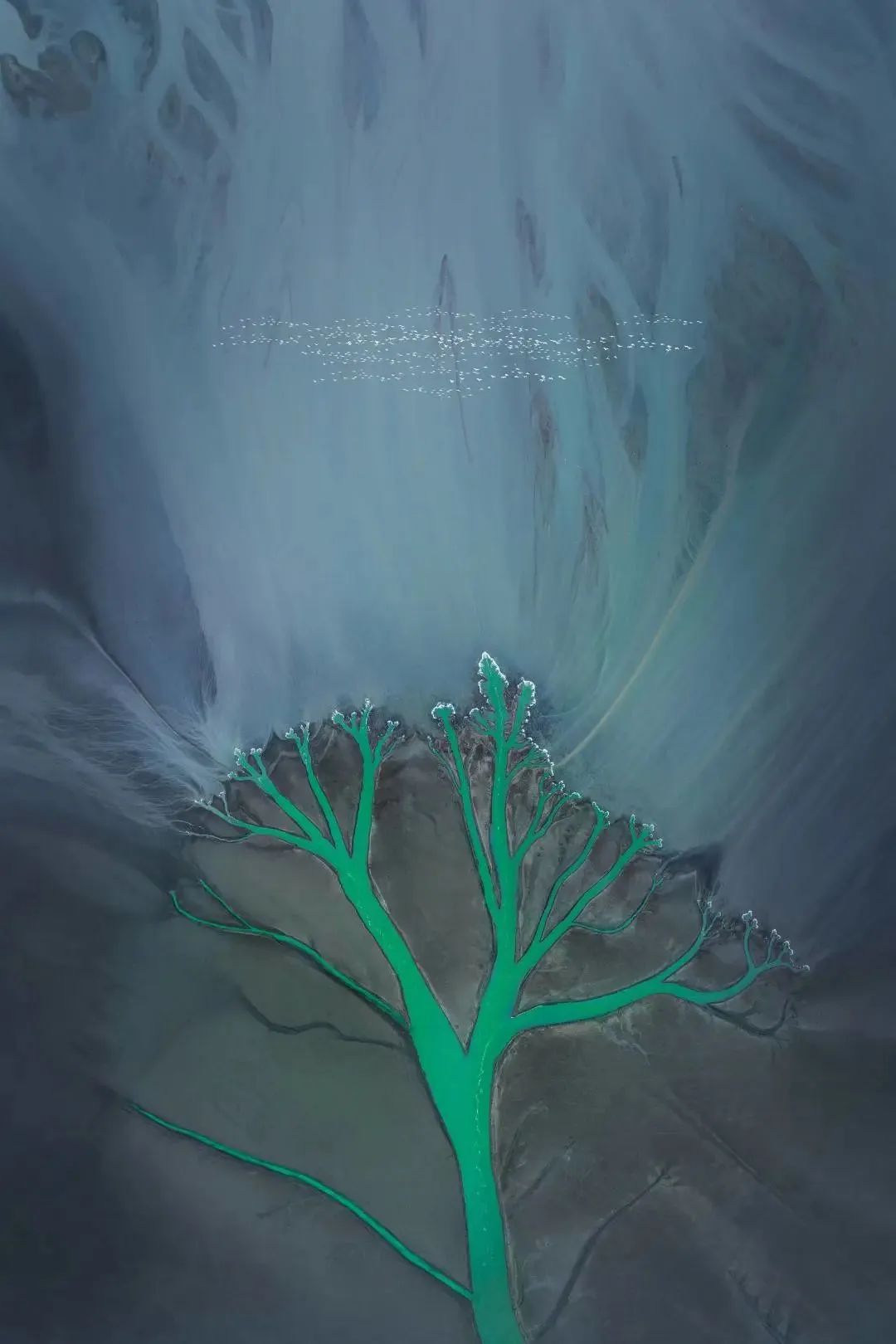 洱海论坛日程,2023洱海论坛开幕