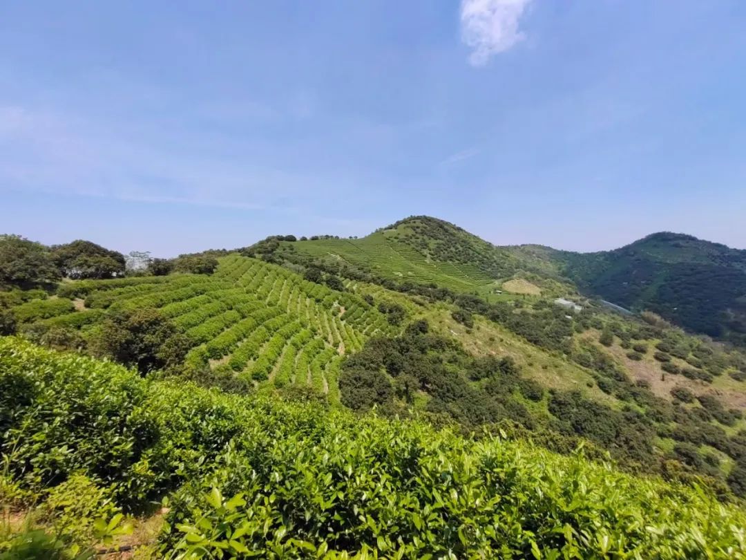 工程没有签挂靠协议管理费怎么算,工程挂靠收2%管理费够不够